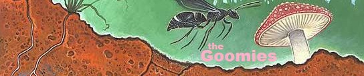 The Goomies (2005-2012/awfulmoth records)