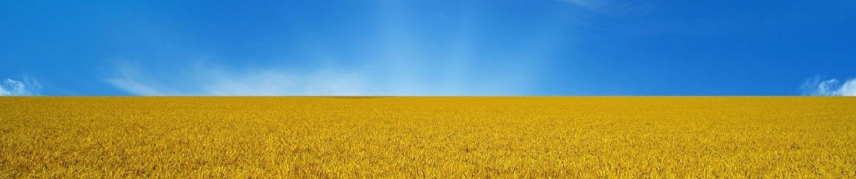 Андрій Подольський