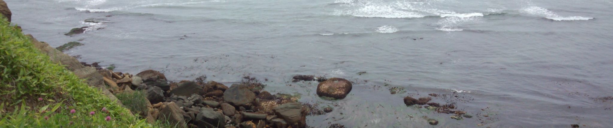 Mabinogi Mml 403 Southern Cross By Miri Mabinogi