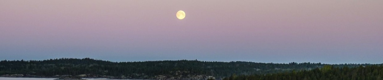 moonslayer