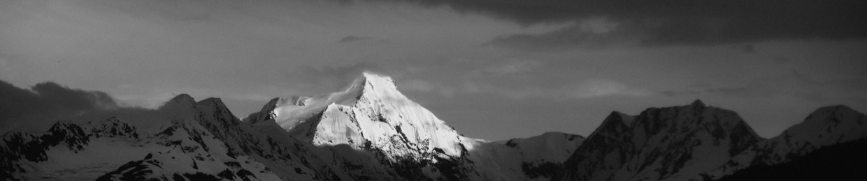 Purpose in Being Podcast