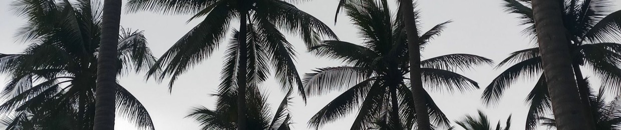 Ninety Flakko