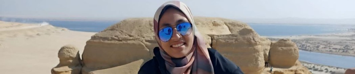 Amira M Salah