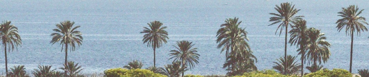Salieto