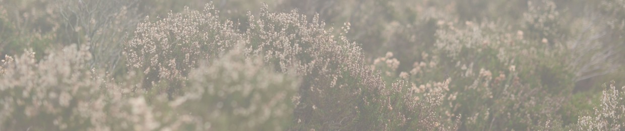 Encounters