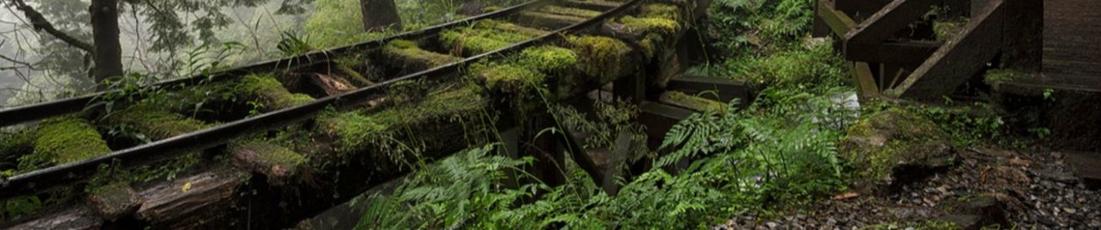 Катерина Щирова