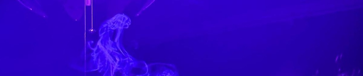 SPOT