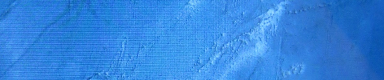 Richard Vanden Bergh