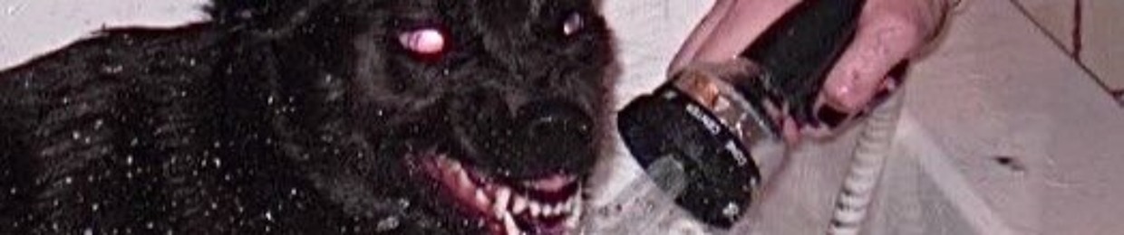 Lmadseawolf