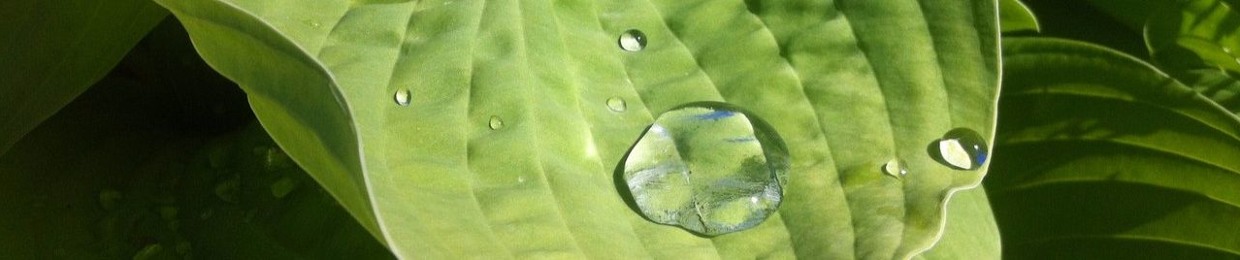 Magic Drop