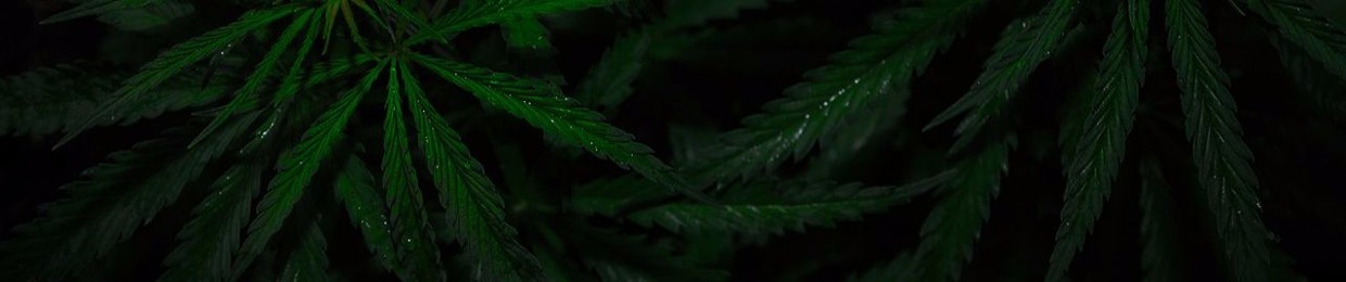 Павел Лаврухин