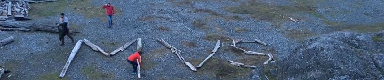 Mennonite Voluntary Service