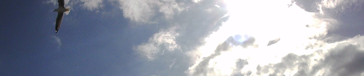 Dario De Angelis (Dealis)