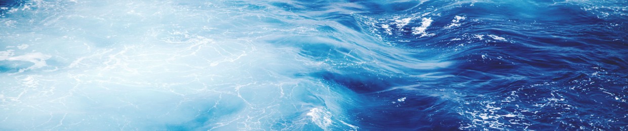 Christian J Rainer Compositions