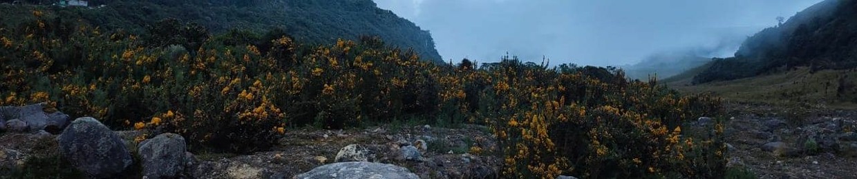 SATARIEL