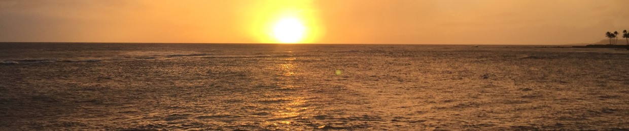 Under a New Sun