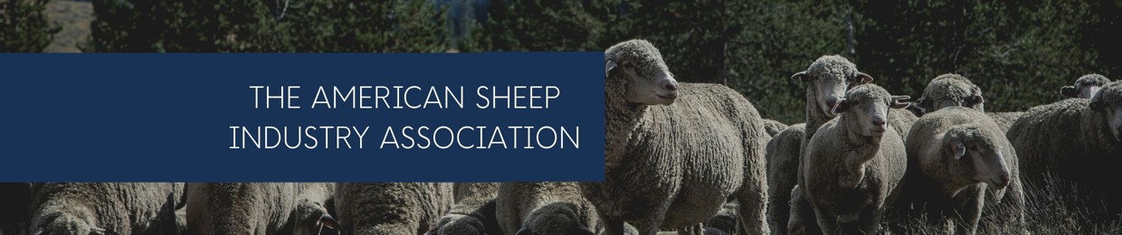 American Sheep Industry Association