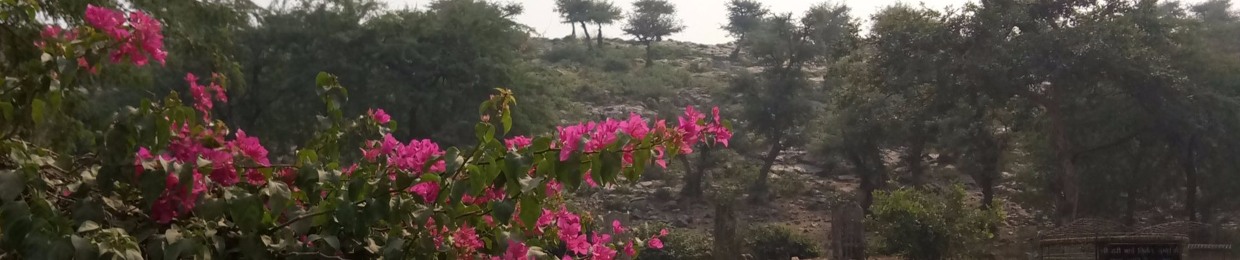 Сообщество Goura Universe