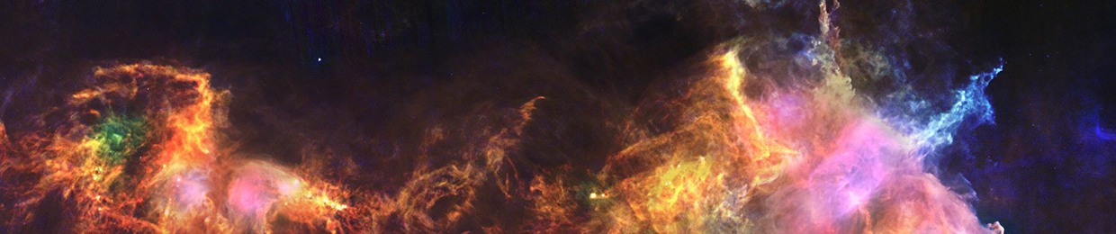 softbeard rex | music production