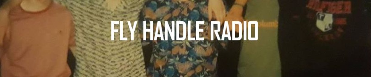 Fly Handle Radio