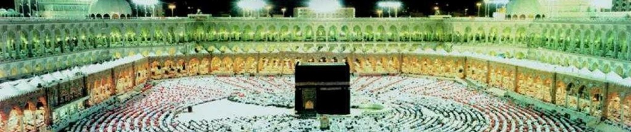 Mahmoud ElGohary6