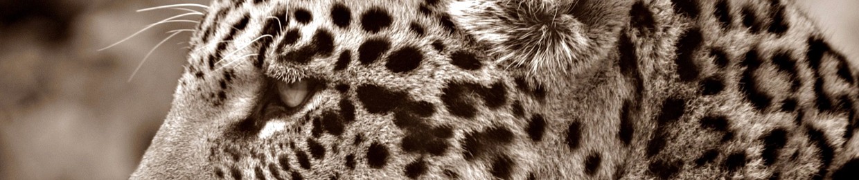 Your Personal Monster