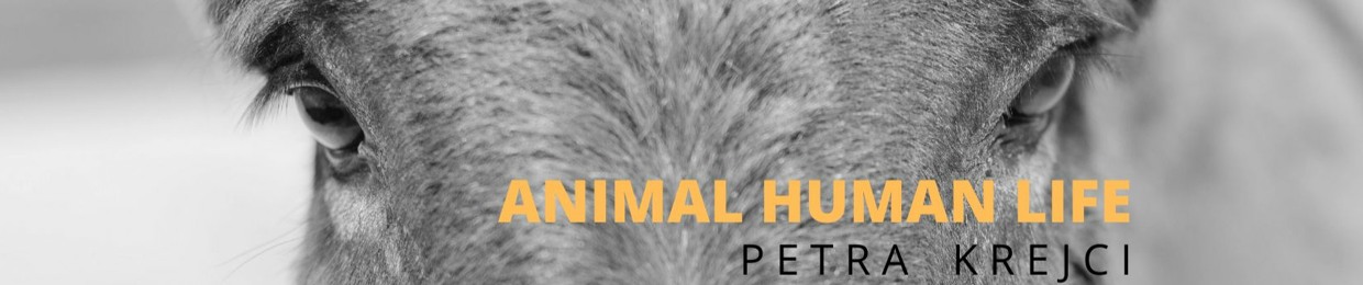 ANIMAL HUMAN LIFE - PODCAST