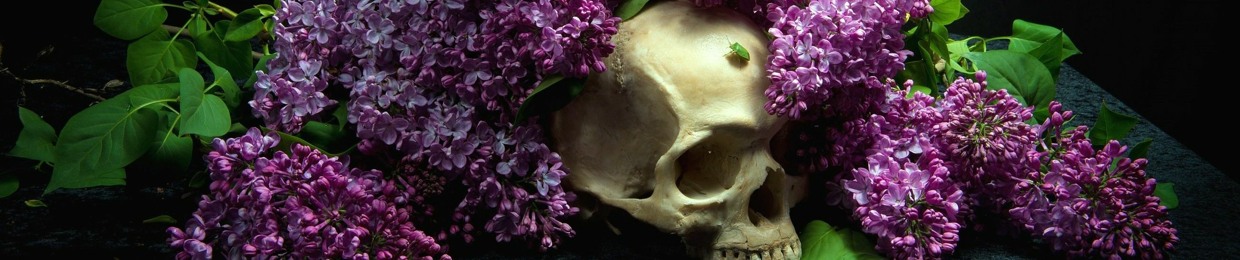 Omen Acedia