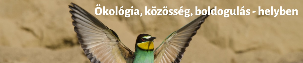 Kisközösségi Program