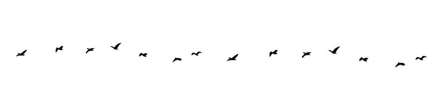 SoundCloud banner for @rifles