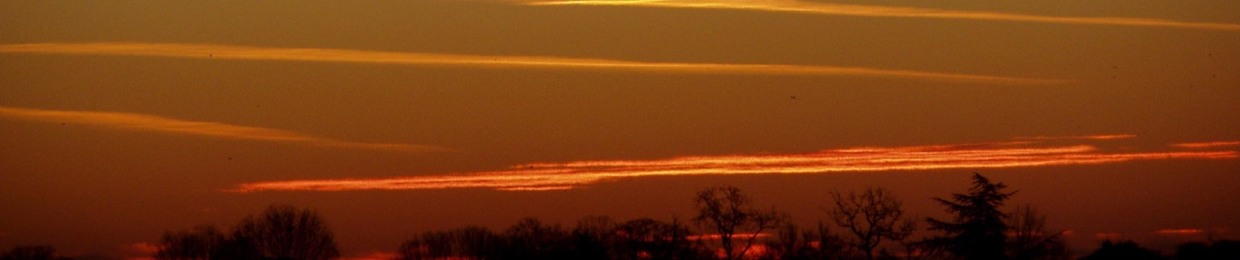 Iridaes - my Repost page