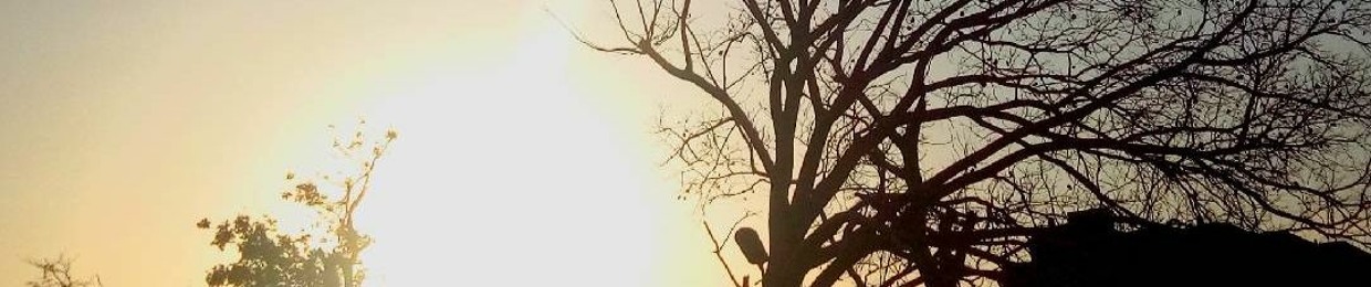 أقرألك ؟