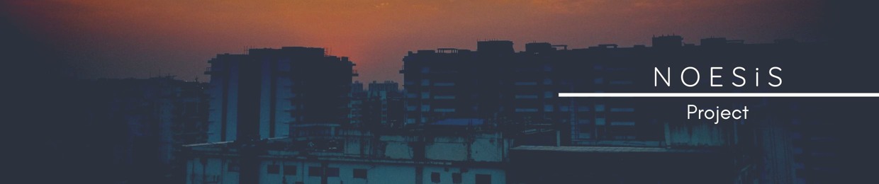 NOESiS Project