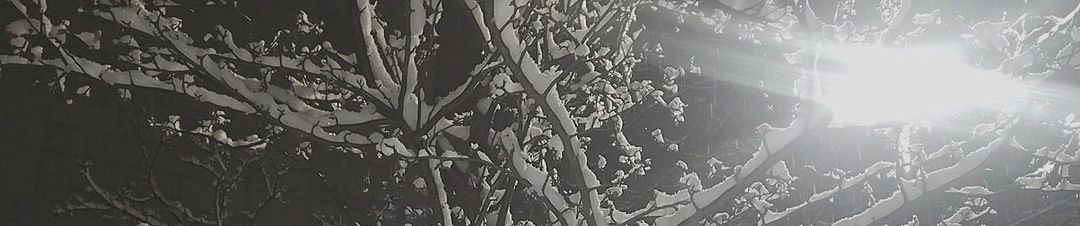 Kai Engel Tumult By Wiltshire