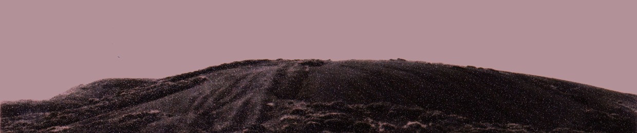 Sun Alexander