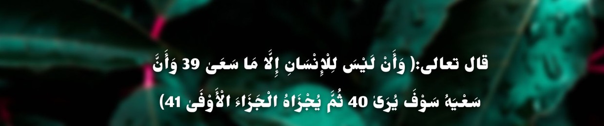 دُنيا حسونة