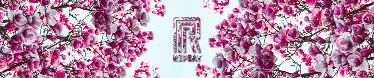 RepeatBeats
