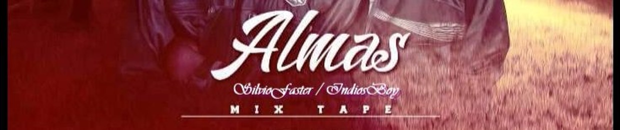 Silvio Faster DW