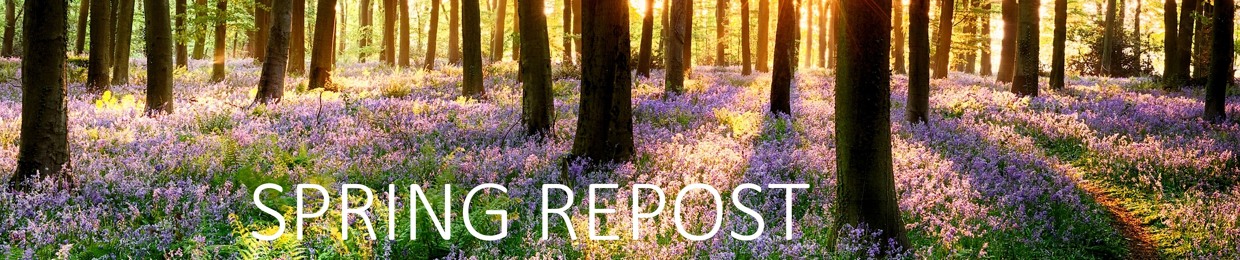 SPRING REPOST