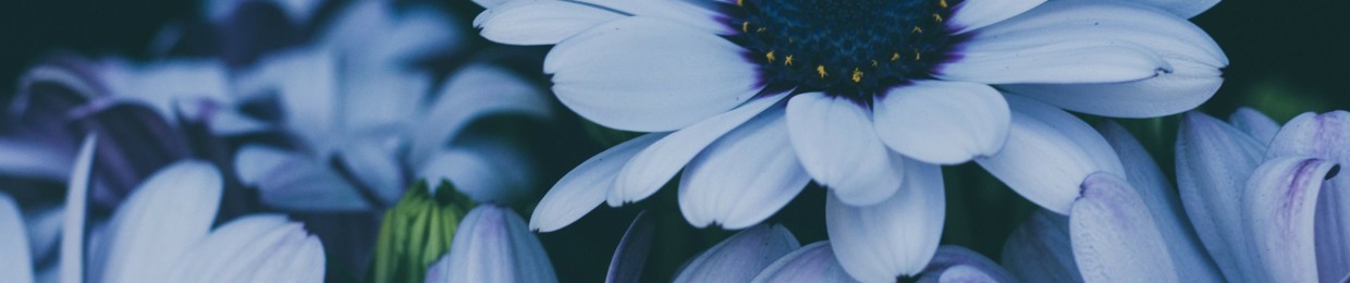 The Angel of Temptation