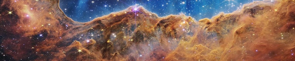 Canopy of Stars