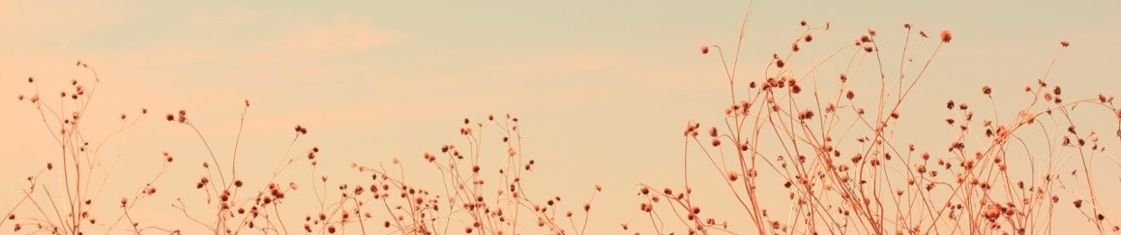 Tính Vương Đức