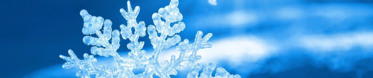 Snowflake_007