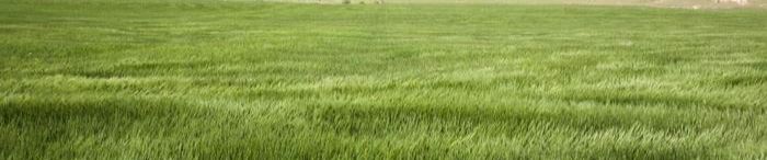 SoundCloud banner for @chesapeake