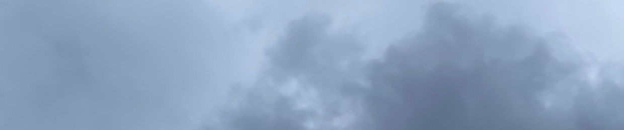 SNE