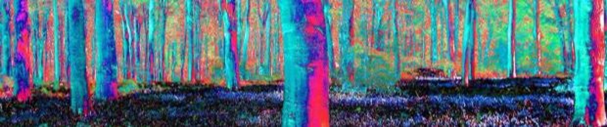 Ephemeral Forever
