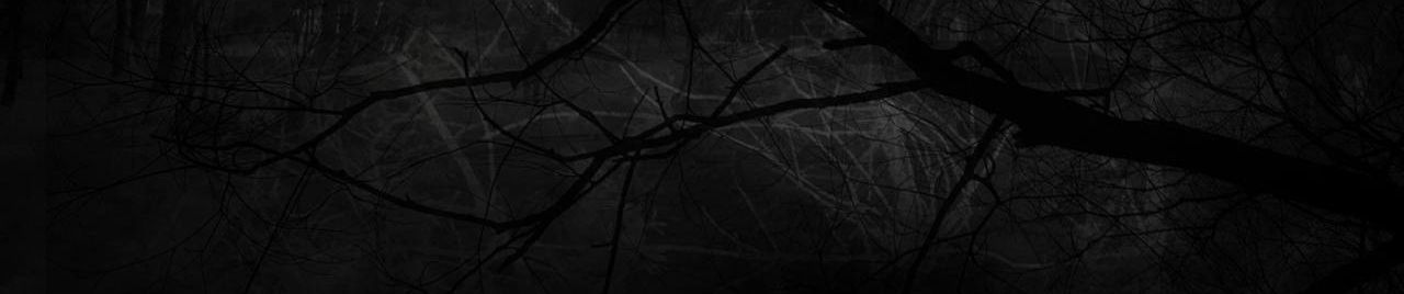 SoundCloud banner for @fiqqtion