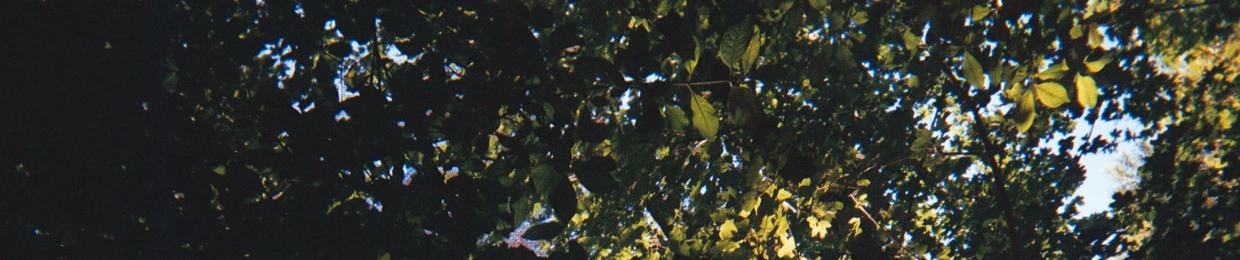 Pha Nagha