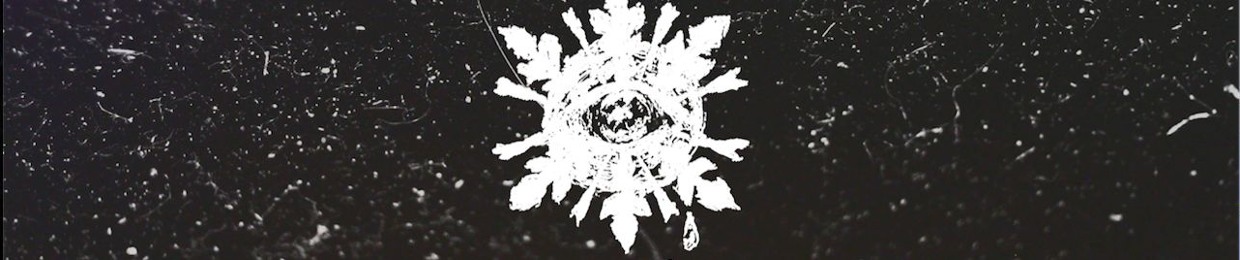 冬の海echoes