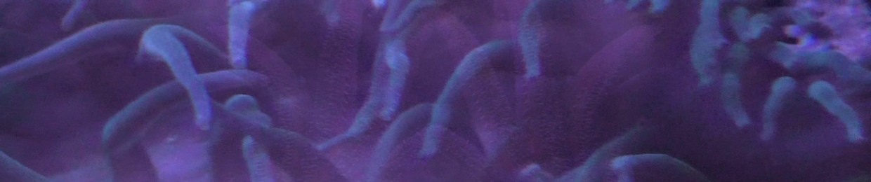 Broken Quantizers